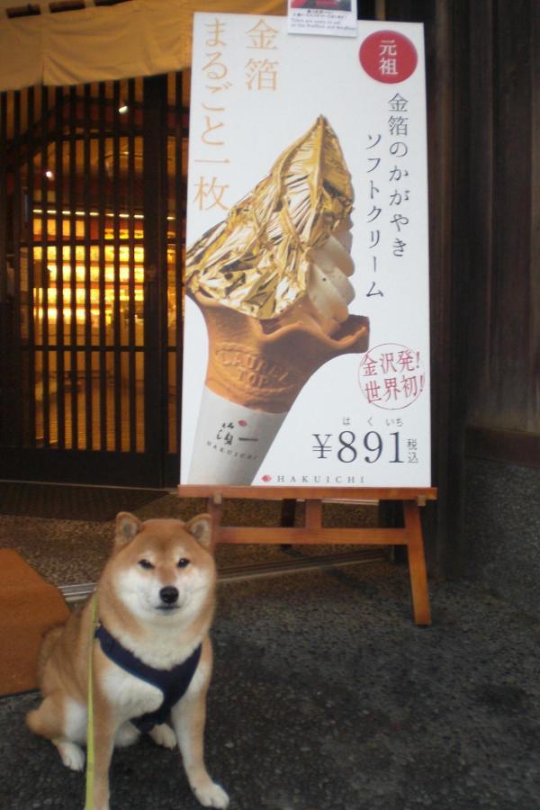 Kanazawa Share House Gaooo Buitenkant foto