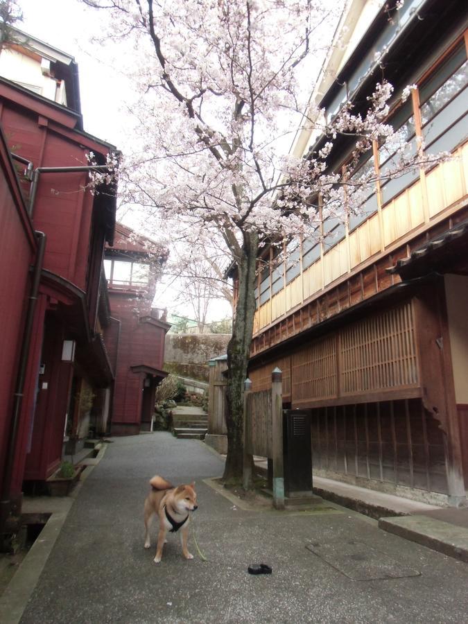 Kanazawa Share House Gaooo Buitenkant foto