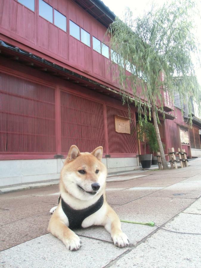 Kanazawa Share House Gaooo Buitenkant foto